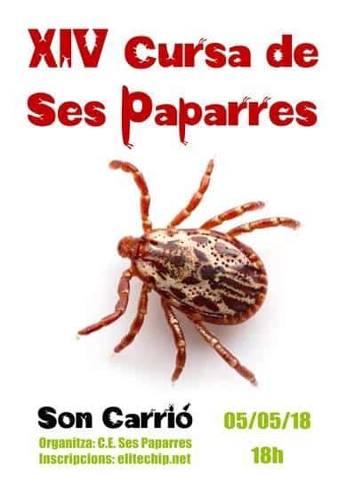 XIV Cursa de ses Paparres 2018 en Son Carrió (10.2km, 4.2km)