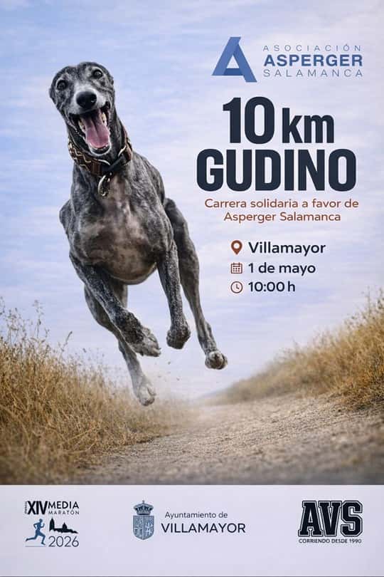 VII Carrera 10 Km de Gudino en Villamayor (10km, 3km, 3km)